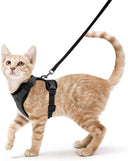 YOKEE Cat Harness & Leash Set: Comfortable Escape-Proof Vest for Small Cats  ourlum.com black XS 