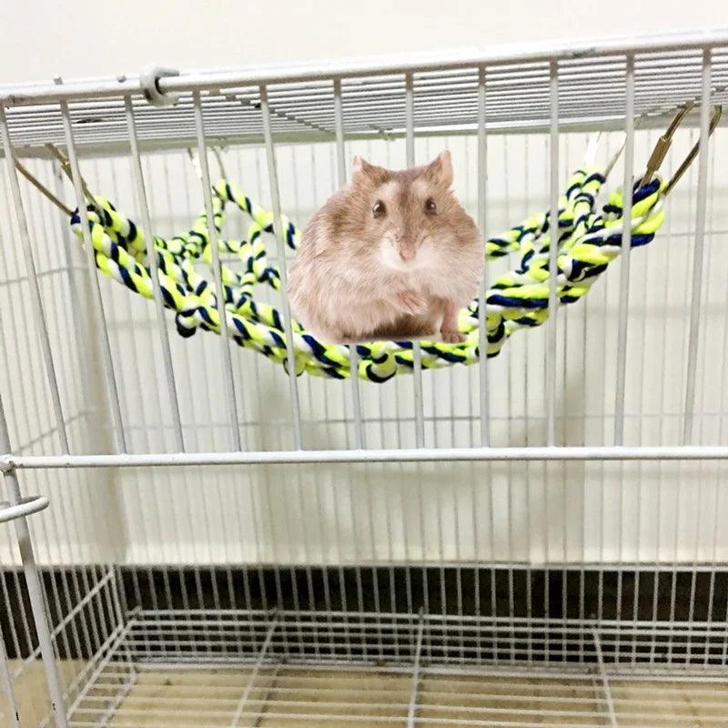 Colorful Pet Climbing Hammock for Small Pets: Interactive Nylon Net for Health and Fun  ourlum.com   