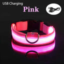 LED Dog Collar: Stay Visible & Safe at Night with USB Rechargeable Lights  ourlum.com Pink USB Charging XS NECK 20-37 CM 