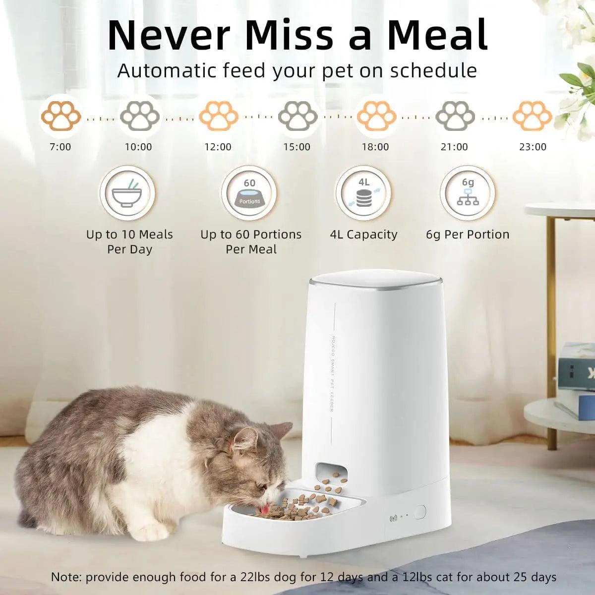 ROJECO Smart WiFi Automatic Cat Feeder: Control, Schedule, Feed Pets  ourlum.com   