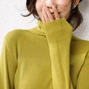 Chic Korean Turtleneck Sweater for Women - 2023 Knitwear