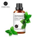 100ML Essential Oils for Diffuser Humidifier Aroma Oil Vanilla Eucalyptus Jasmine Rose Lavender Rosemary Peppermint Tea Tree  ourlum.com Peppermint 100ml CHINA