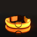 Glowing Nylon LED Dog Leash and Collar Set for Night Safety  ourlum.com Yellow XS 