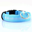 Illuminated Dog Collars: Enhanced Pet Safety & Visibility Solution  ourlum.com Blue battery XS neck 28-40cm 