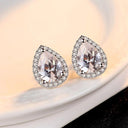 Starlight Elegance Silver Star Stud Earrings Dazzling Zircon Design