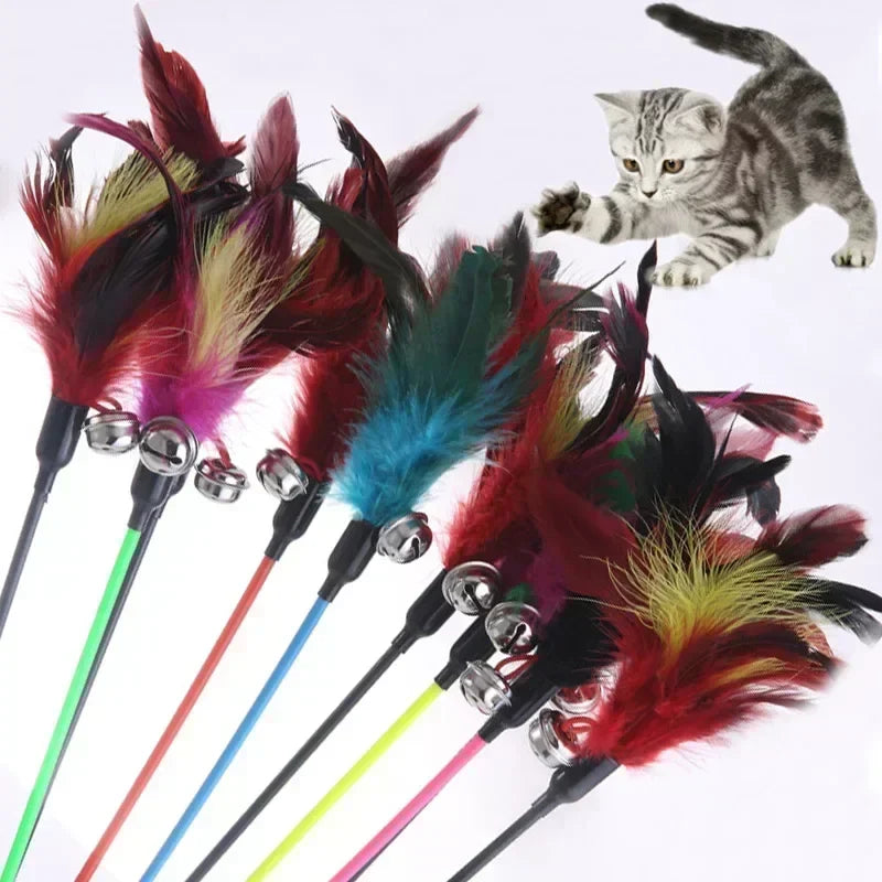 Feather Stick Interactive Cat Toy: Engage, Train, Entertain Cats  ourlum.com   