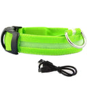 Illuminated Dog Collars: Enhanced Pet Safety & Visibility Solution  ourlum.com Greeb usb charging XS neck 28-40cm 