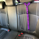 Pet Car Safety Leash with Adjustable Harness and Seat Belt Compatibility  ourlum.com   