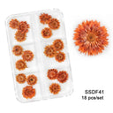 12/18Pcs/box 3D Dried Flowers Nail Art Decorations Dry Floral Bloom Stickers DIY Manicure Charms Designs For Nails Accessories  ourlum.com SSDF41  