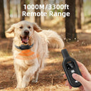 Electric Dog Training Collar: Waterproof Vibrating Bark Control Shock Collar  ourlum.com   