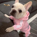 French Bulldog Puppy Jumpsuit: Stylish and Cozy Clothing for Small Dogs  ourlum.com   