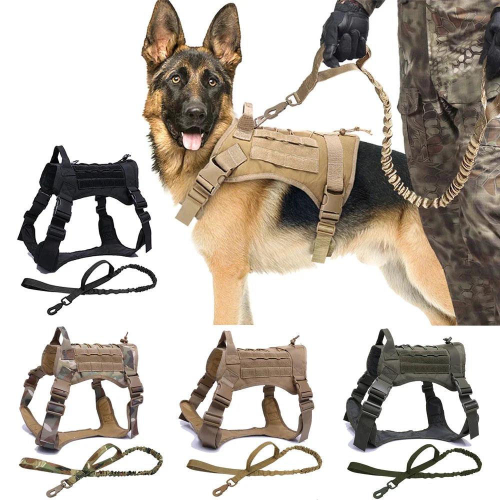 Tactical Dog Harness with Leash Set for Dogs: Premium Training & Walking Gear  ourlum.com   