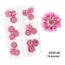 12/18Pcs/box 3D Dried Flowers Nail Art Decorations Dry Floral Bloom Stickers DIY Manicure Charms Designs For Nails Accessories  ourlum.com SSDF49  