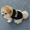 Summer Dog Vest: Stylish Security Clothing for Small Dogs & Cats  ourlum.com   