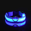 Glowing Nylon LED Dog Leash and Collar Set for Night Safety  ourlum.com Blue XS 