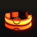 Glowing Nylon LED Dog Leash and Collar Set for Night Safety  ourlum.com Orange XS 