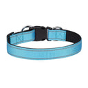 Reflective Neoprene Padded Dog Collar: Stylish Safety for Medium to Large Pets  ourlum.com Blue S 