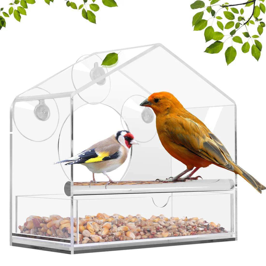 Bird Feeder: Up Close Bird Watching & Pet Entertainment Tray  ourlum.com   