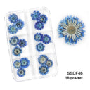 12/18Pcs/box 3D Dried Flowers Nail Art Decorations Dry Floral Bloom Stickers DIY Manicure Charms Designs For Nails Accessories  ourlum.com SSDF46  