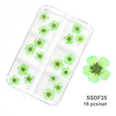 12/18Pcs/box 3D Dried Flowers Nail Art Decorations Dry Floral Bloom Stickers DIY Manicure Charms Designs For Nails Accessories  ourlum.com SSDF25  