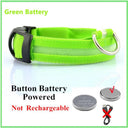 LED Light Up Dog Collar: Customizable Night Safety, Waterproof, Multiple Flash Modes  ourlum.com Green Button Battery XS Neck 28-38 CM United State