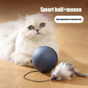 Kimpets Cat Toys Mouse Teaser Ball Fun Moving Toy for Pets