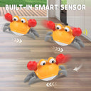 Crawling Crab Octopus Toy: Interactive Musical Educational Toddler Gift  ourlum.com   