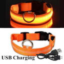 Illuminated Dog Collars: Enhanced Pet Safety & Visibility Solution  ourlum.com   