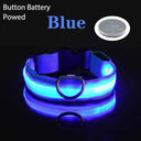 LED Dog Collar: Safety Night Light Flashing Necklace for Pet Visibility  ourlum Blue Battery XS NECK 28-38 CM 