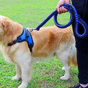 Nylon Dog Harness Leash for Medium Large Dogs Walking Hiking