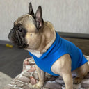 Winter Soft Fleece Dog Coat for French Bulldogs, Pugs, Chihuahuas & Yorkies  ourlum.com   