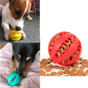 Interactive Rubber Chew Toy Balls for Pets Dental Fun