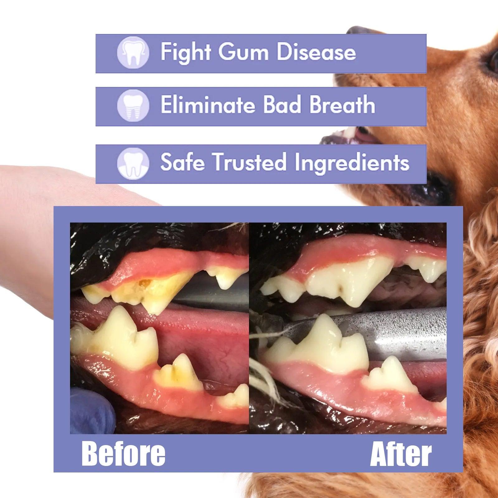 Oral Care Spray for Pets: Freshen Breath, Whitening Teeth, Prevent Stains  ourlum.com   