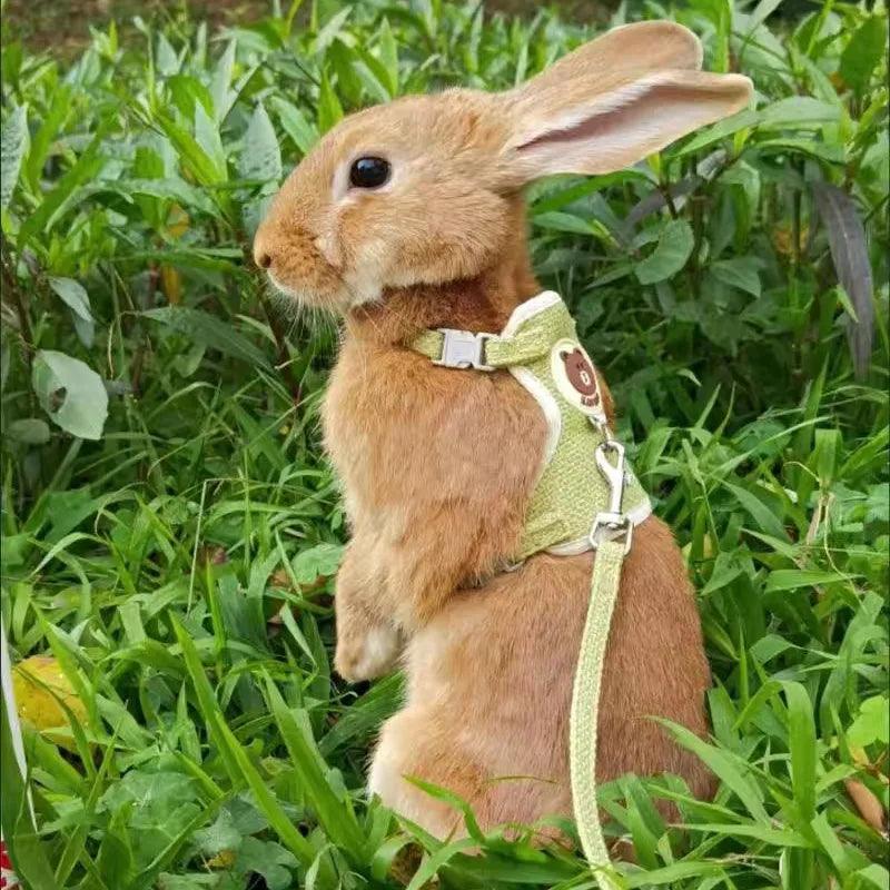 Cute Rabbit Harness and Leash Set for Outdoor Walking Pets  ourlum.com   