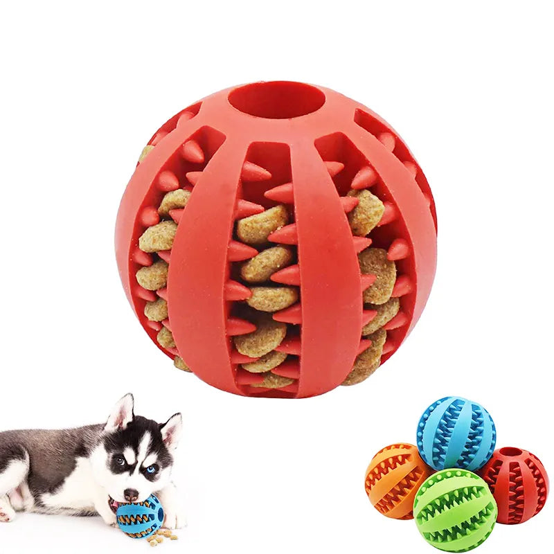 Interactive Pet Rubber Chew Toy for Small Dogs: Clean Teeth, IQ Training & Fun Games  ourlum.com   