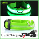 LED Light Up Dog Collar: Customizable Night Safety, Waterproof, Multiple Flash Modes  ourlum.com Green USB Charging XS Neck 28-38 CM United State