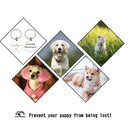 Customized Pet ID Tags for Dogs and Cats: Reflective, Engraved, Personalized  ourlum.com   