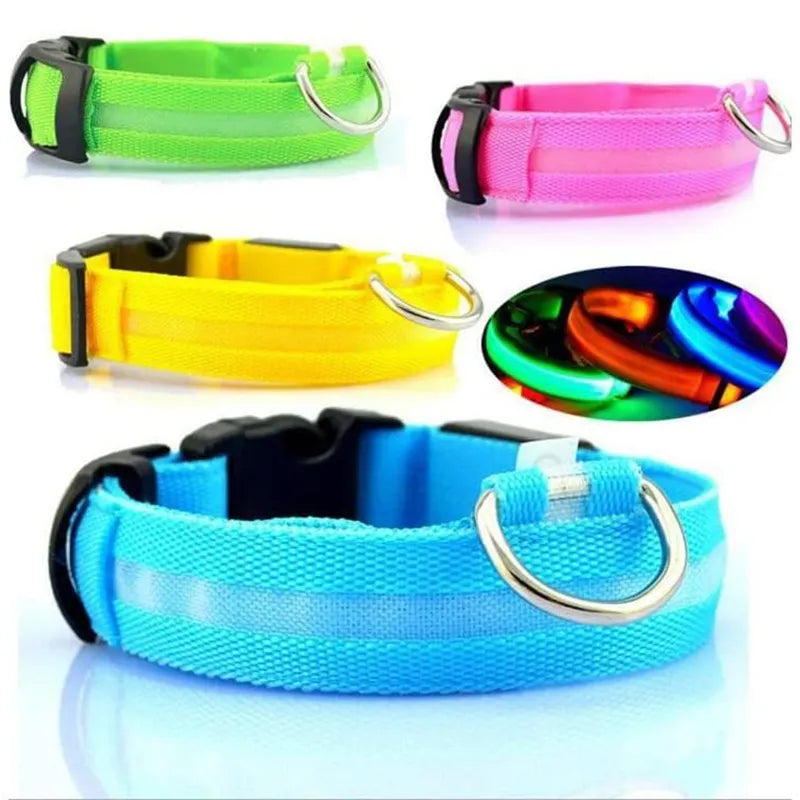 LED Glowing Dog Safety Collar: Visibility, Water-resistant, Rechargeable