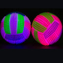 Light Up Dog Ball Interactive Glow in the Dark Toy Fun