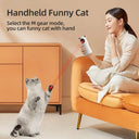 Interactive LED Laser Teaser Toy for Indoor Cats Fun