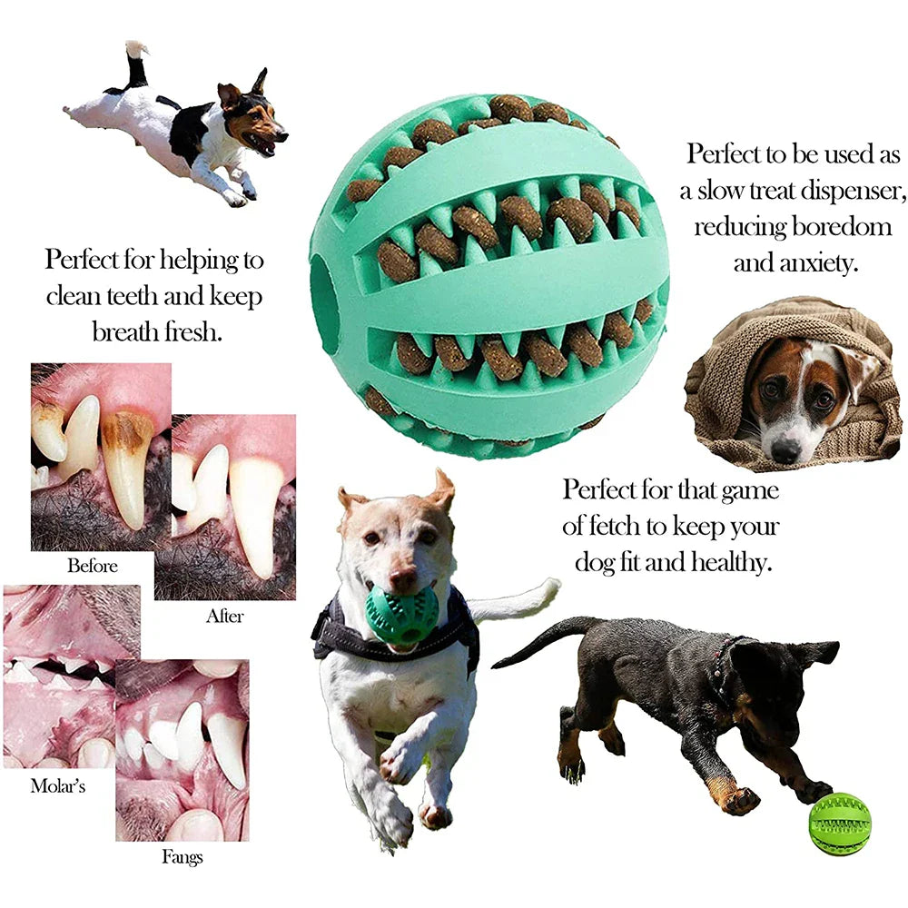 Interactive Rubber Dog Chew Toy for Pet Dental Health & Stress Relief  ourlum.com   