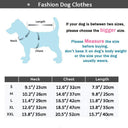 Winter Dog Jacket: Stylish & Warm Small Breed Pet Coat  ourlum.com   