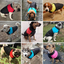 Winter Waterproof Dog Vest Jacket Windproof Warm Stylish Coat