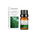 Aromatic Flower Fruit Essential Oil for Stress Relief 10ml