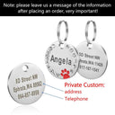 Personalized Stainless Steel Pet ID Tag for Dogs and Cats  ourlum.com Q  