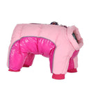 Winter Dog Coat: Stylish Waterproof Reflective Clothing for Small to Medium Dogs  ourlum.com Pink Rose 10 CHINA