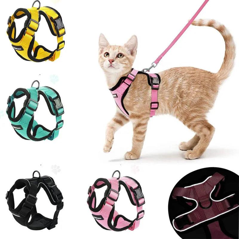 YOKEE Cat Harness & Leash Set: Comfortable Escape-Proof Vest for Small Cats  ourlum.com   