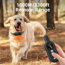 ROJECO Digital Rechargeable Dog Training Collar: Waterproof Vibrator Bark Stop  ourlum.com   