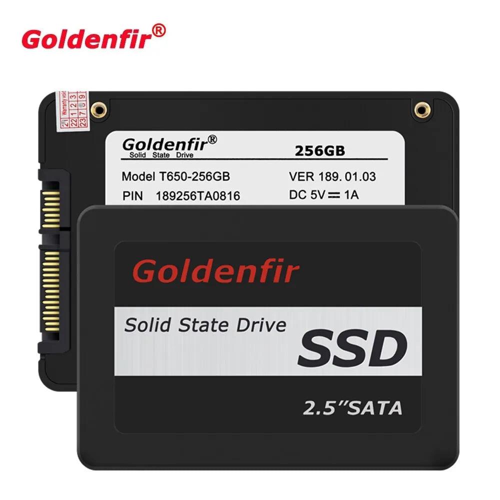 Goldenfir SSD: High Capacity Storage Solution  ourlum.com T650B-120GB  