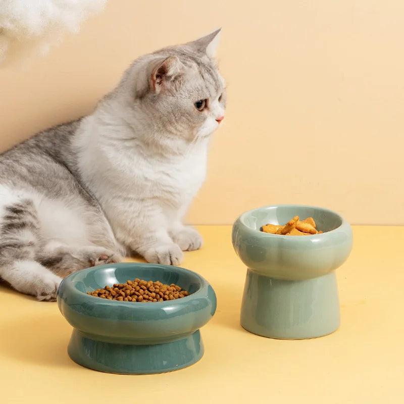 Ceramic Elevated Pet Feeding Bowl: Stylish and Functional Cat and Dog Food and Water Dish  ourlum.com   